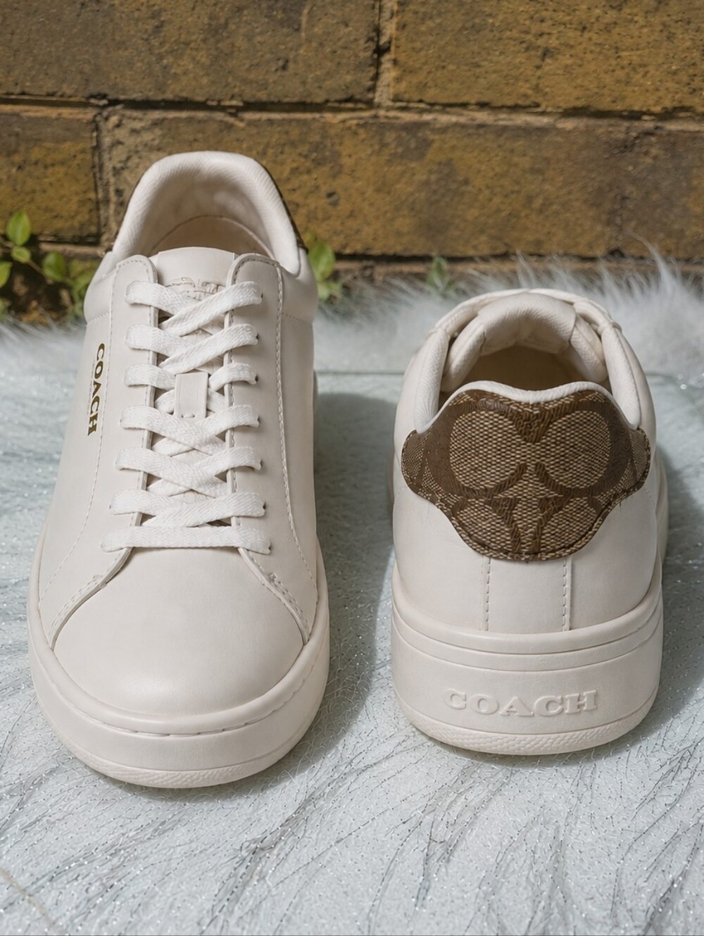 Coach Clip Leather Low-Top Lace-Up Sneakers Chalk Khaki Women Size 7
